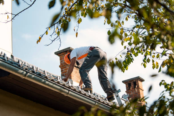 Best Gutter Installation and Repair  in Forsyth, IL