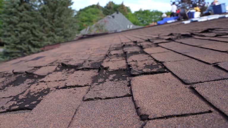 Best Rubber Roofing (EPDM, TPO)  in Forsyth, IL