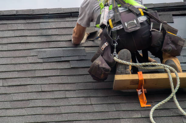 Best Roof Leak Repair  in Forsyth, IL