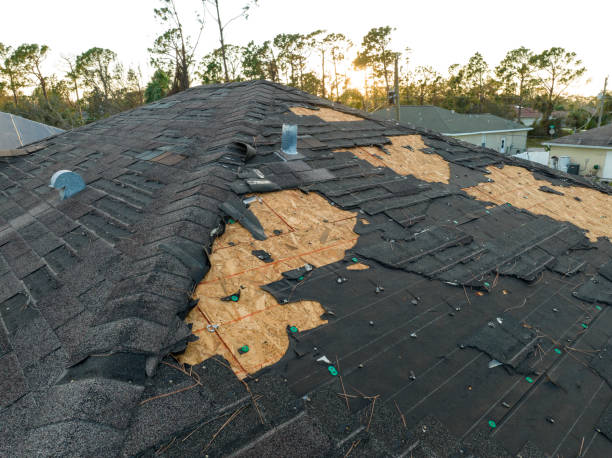 Best Roof Coating and Sealing  in Forsyth, IL