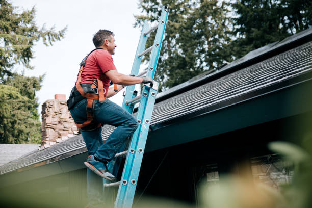 Best Asphalt Shingles Roofing  in Forsyth, IL